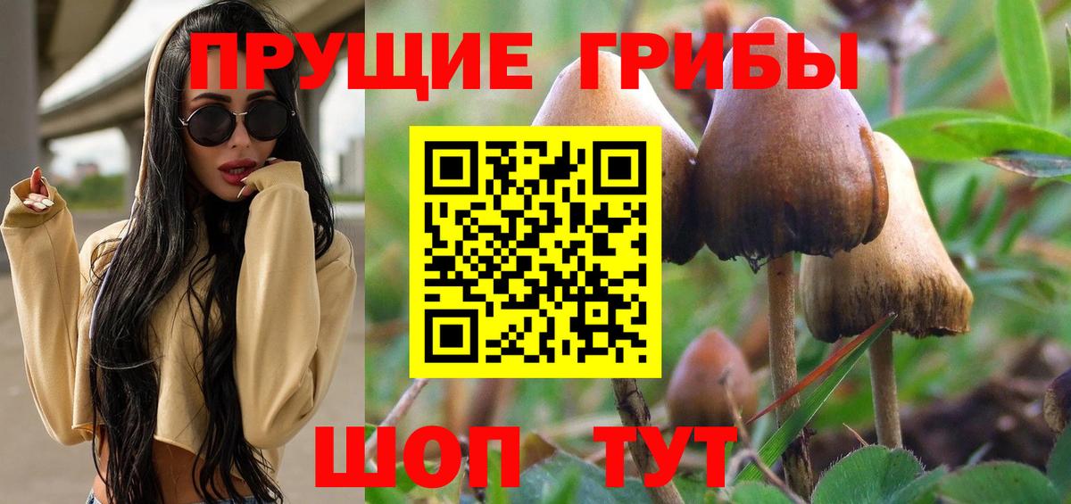 Псилоцибиновые грибы Cubensis Ревда