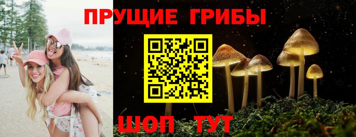 Ревда  Галлюциногенные грибы GOLDEN TEACHER  Вход с VPN 